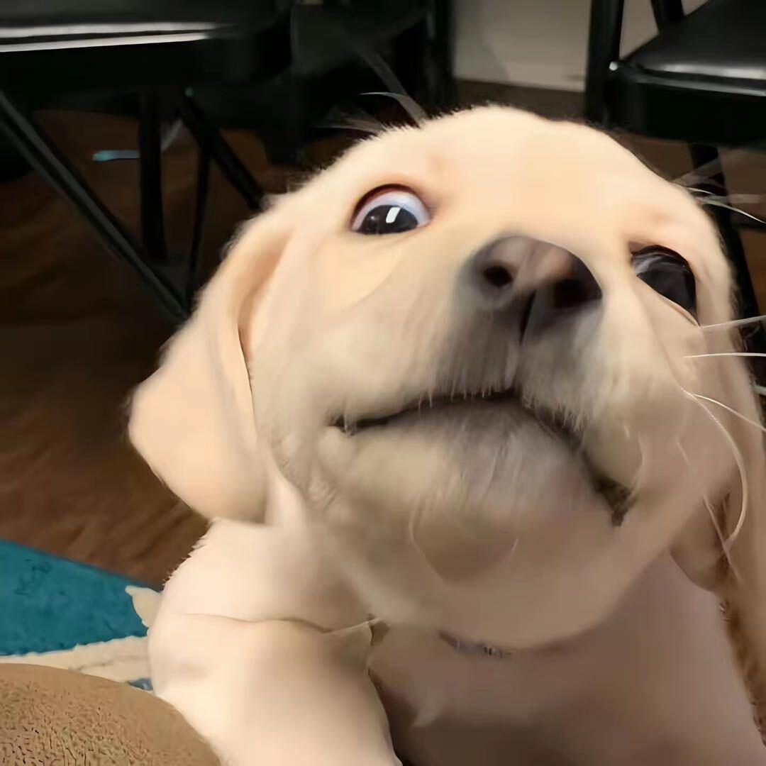 多吃点