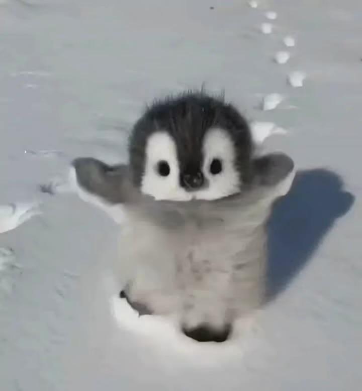 小泺