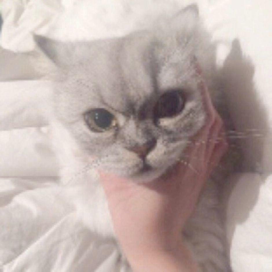 嘟嘟嘟嘟