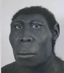 三玖